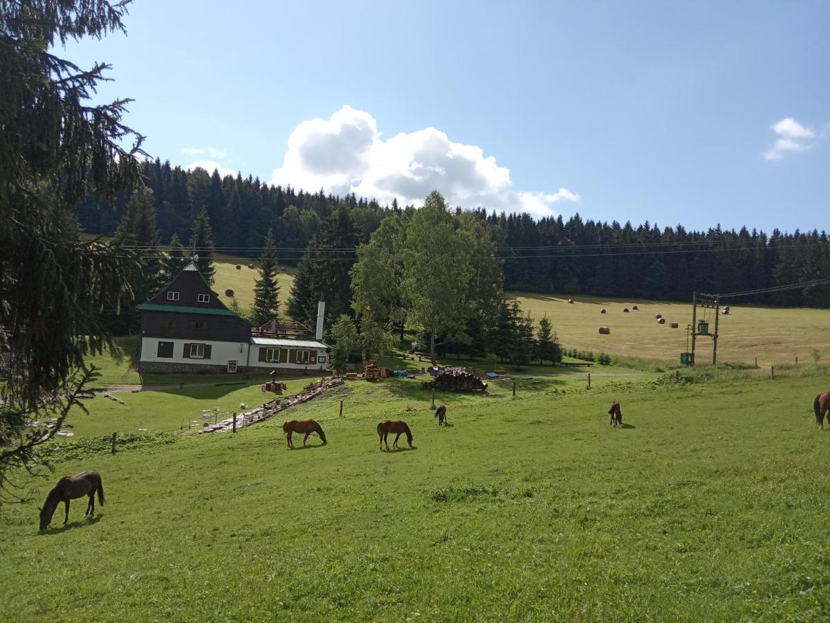 Penzion La Baita Branná Buitenkant foto