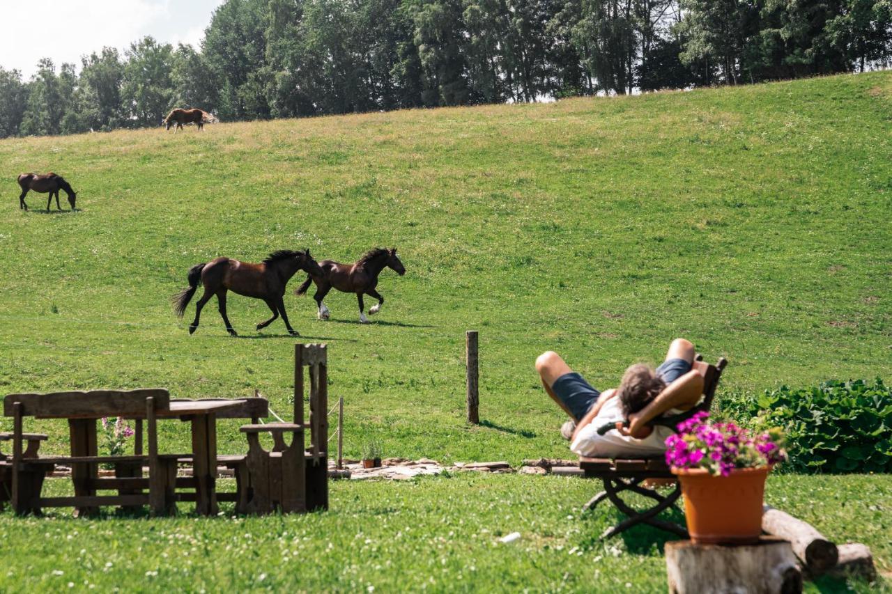 Penzion La Baita Branná Buitenkant foto